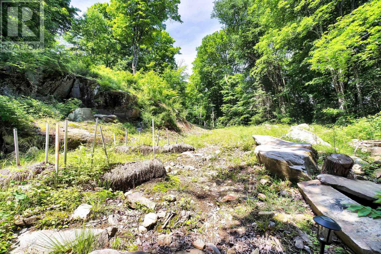 3 - 1082 Carl Fisher Drive, Lake Of Bays, Ontario  P1H 2J6 - Photo 16 - X12130629