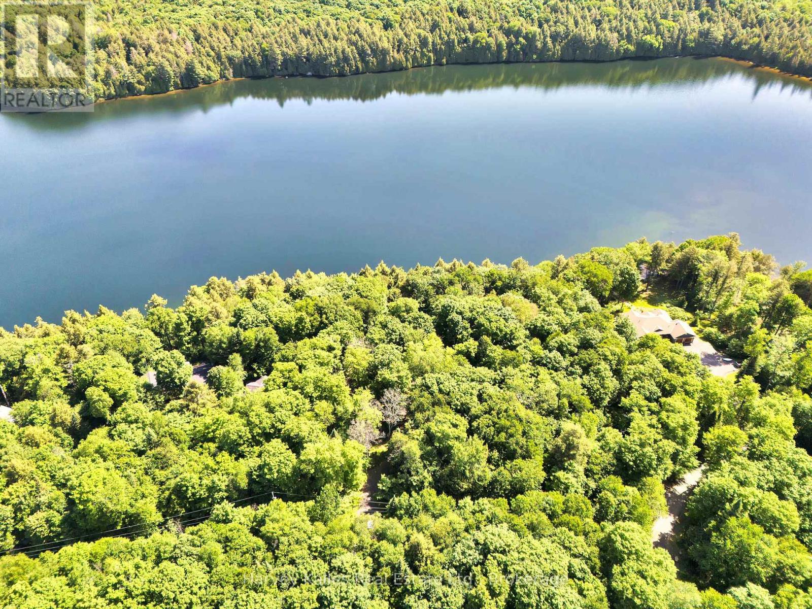 3 - 1082 Carl Fisher Drive, Lake Of Bays, Ontario  P1H 2J6 - Photo 9 - X12130629