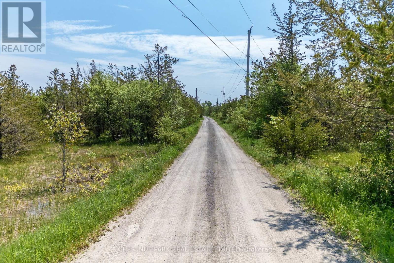 Next To 2451 County Road 15, Prince Edward County (Sophiasburgh), Ontario  K0K 2T0 - Photo 17 - X12130637