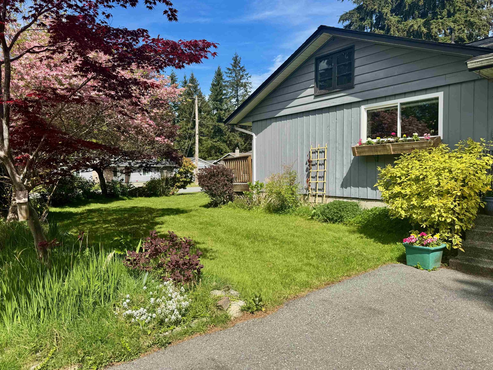 3800 204 Street, Langley, British Columbia  V3A 1X4 - Photo 4 - R2998879
