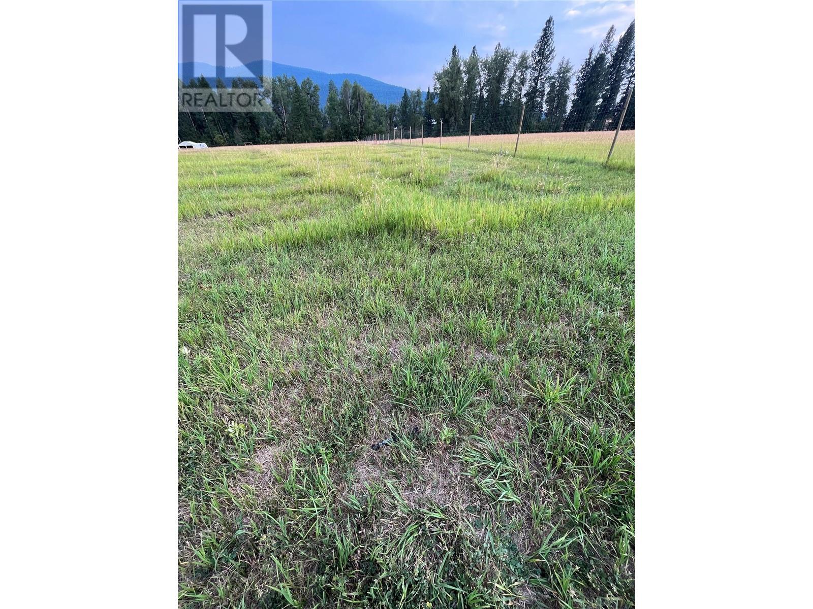 2610 65th Avenue, Grand Forks, British Columbia  V0H 1H0 - Photo 6 - 10346671