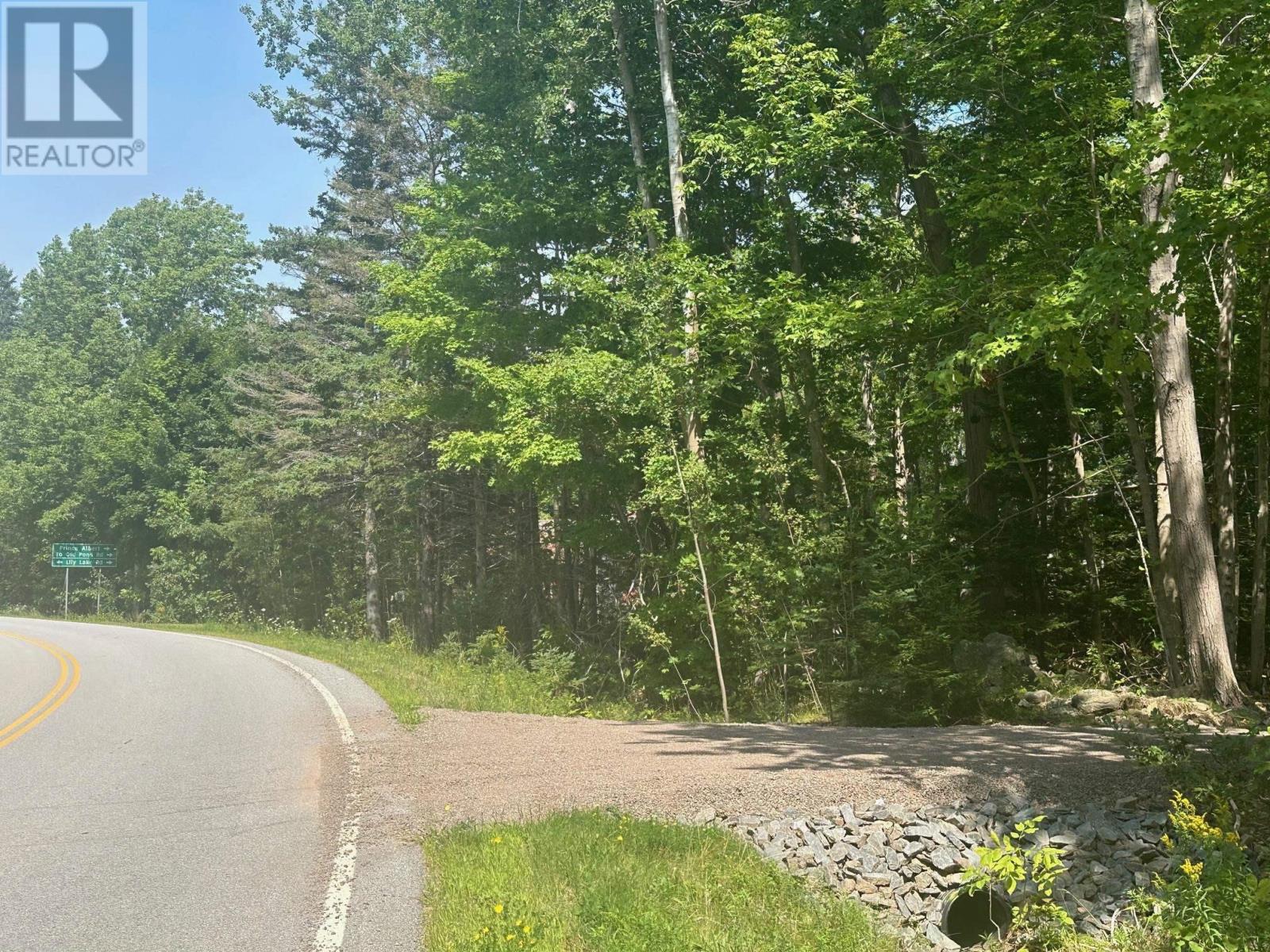 Lot 2 Highway 362, Victoria Vale, Nova Scotia  B0S 1P0 - Photo 3 - 202508863