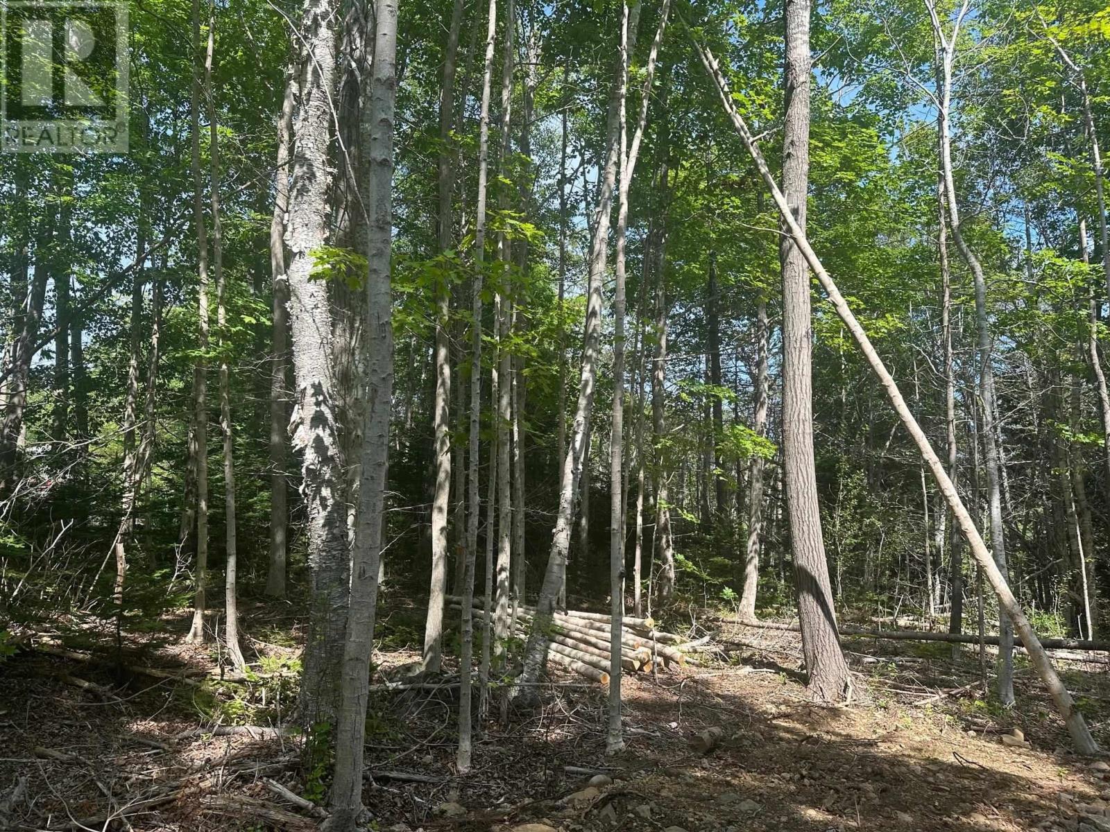 Lot 2 Highway 362, Victoria Vale, Nova Scotia  B0S 1P0 - Photo 10 - 202508863