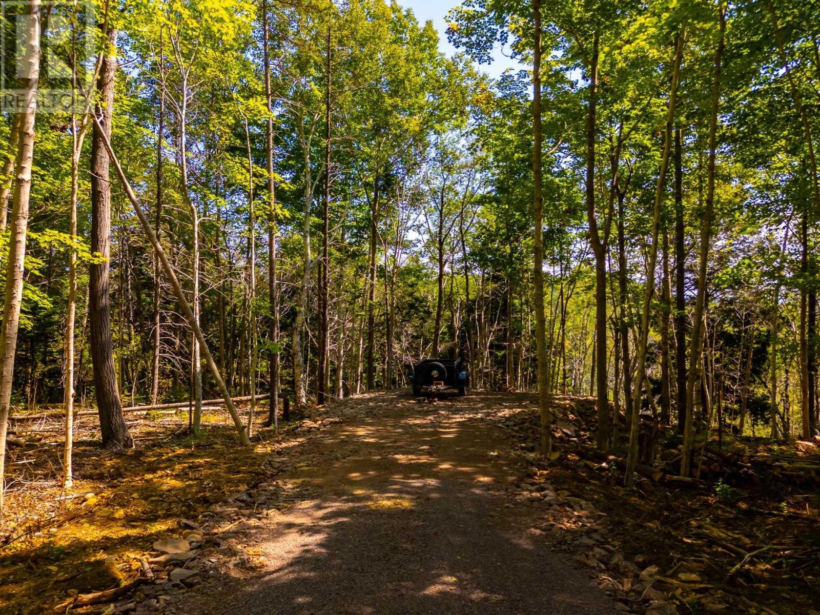 Lot 2 Highway 362, Victoria Vale, Nova Scotia  B0S 1P0 - Photo 20 - 202508863