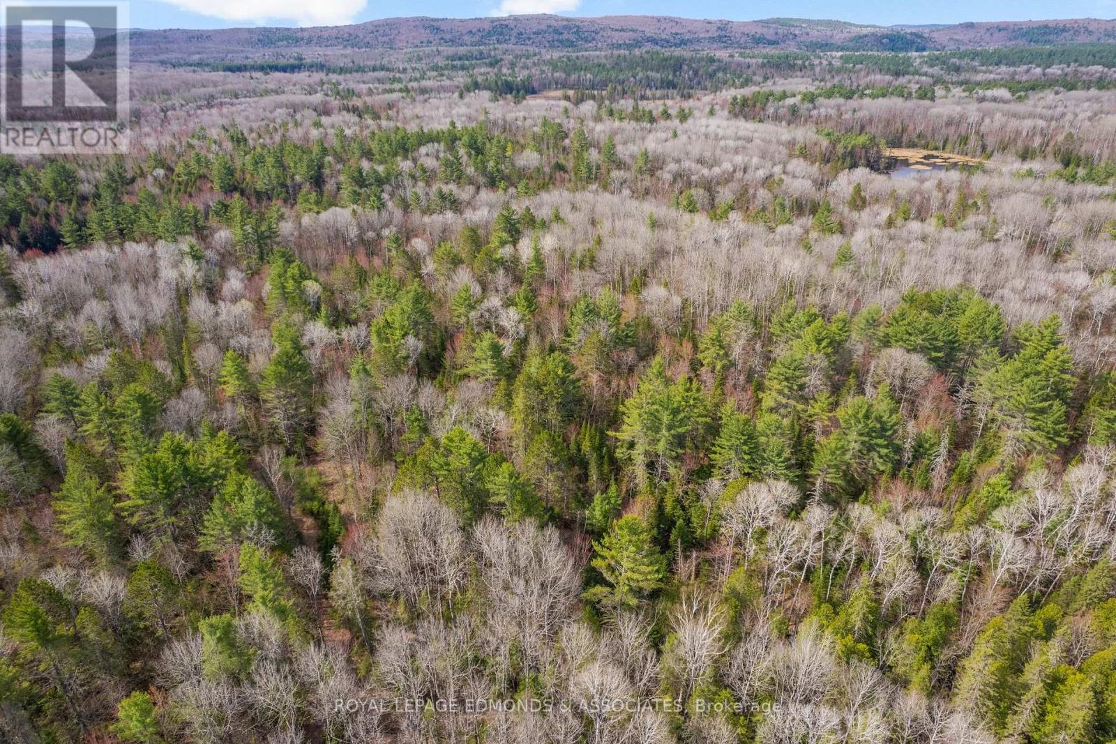 0 Deer Trail Road, Killaloe, Ontario  K0J 2A0 - Photo 10 - X12131096