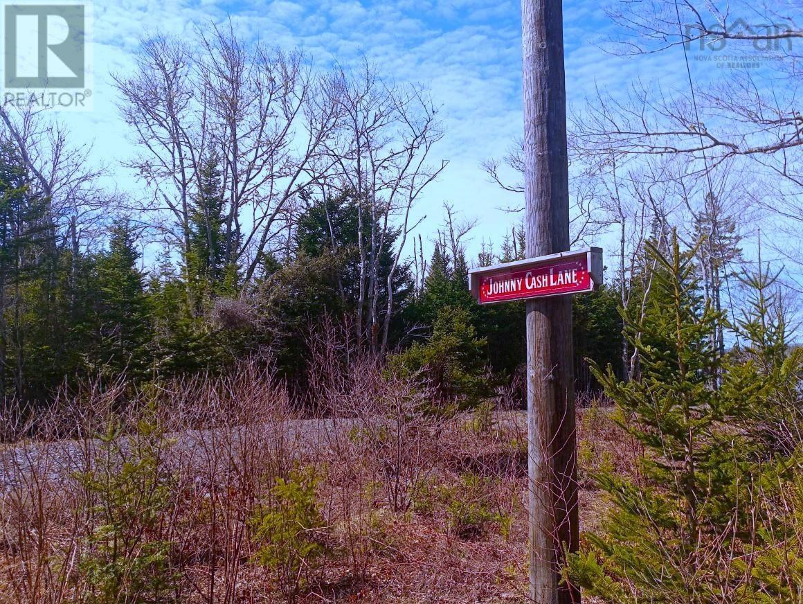 12 Johnny Cash Lane, Juniper Mountain, Nova Scotia  B1K 0C2 - Photo 23 - 202510133