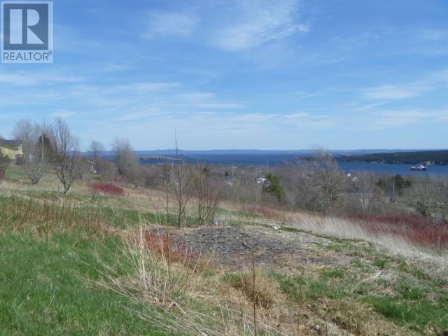 32-34 Bemister's Hill, Carbonear, Newfoundland & Labrador  A1Y 1B7 - Photo 12 - 1284756