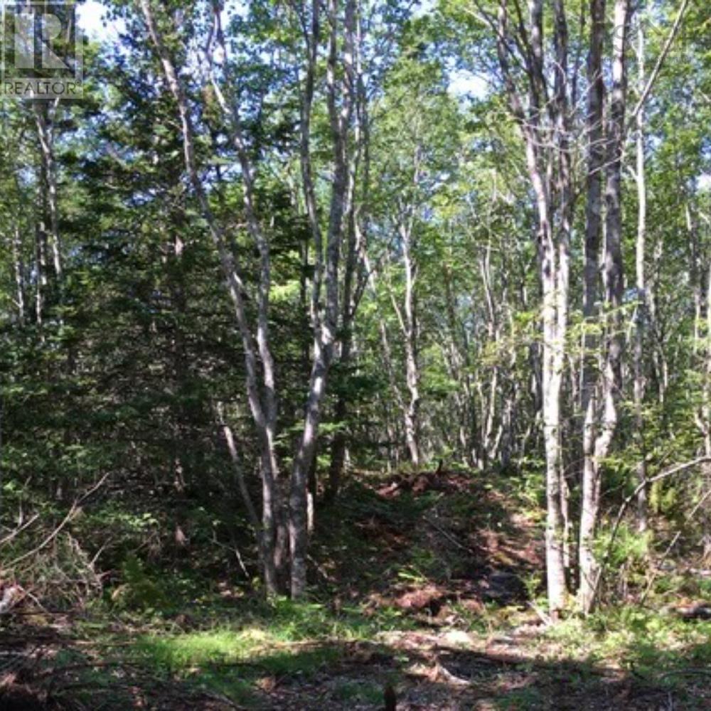 Lot 21 2 Spyglass Way, White Point, Nova Scotia  B0T 1G0 - Photo 2 - 202503394