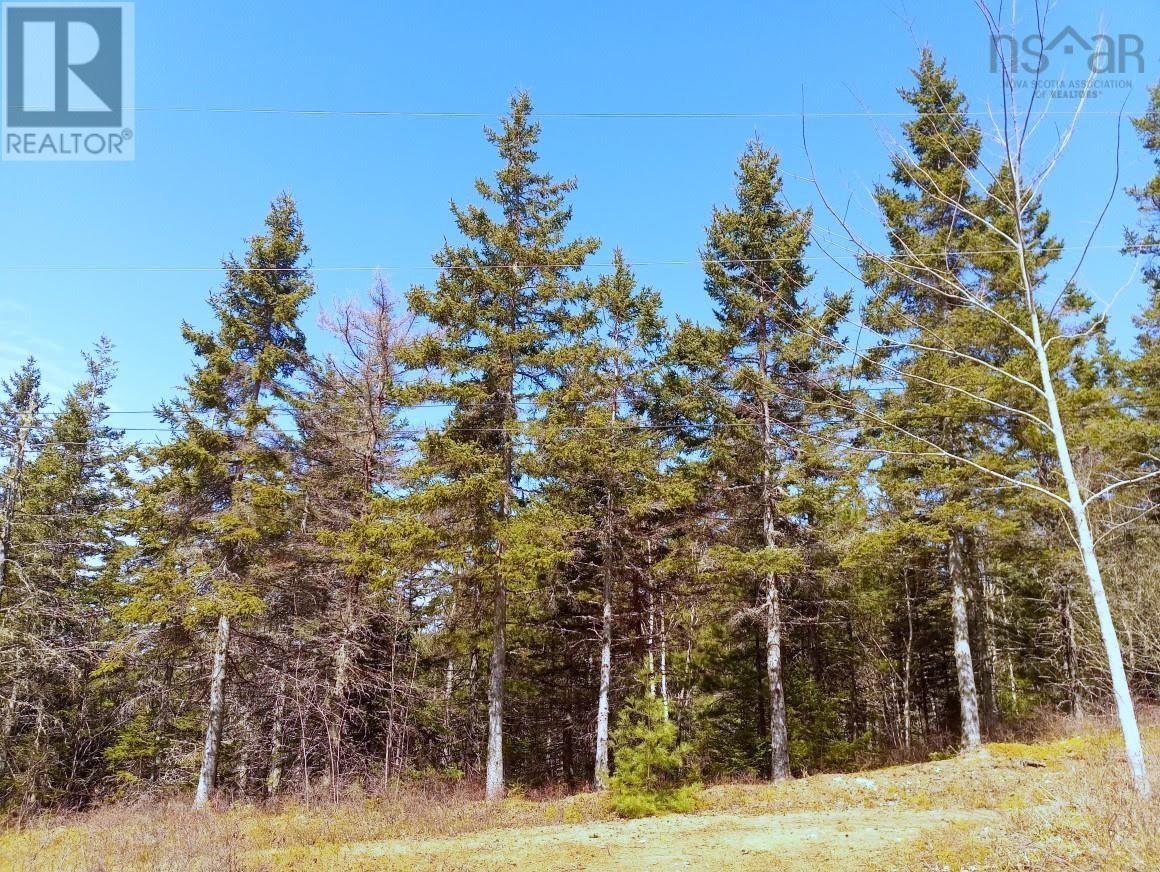 13 Johnny Cash Lane, juniper mountain, Nova Scotia