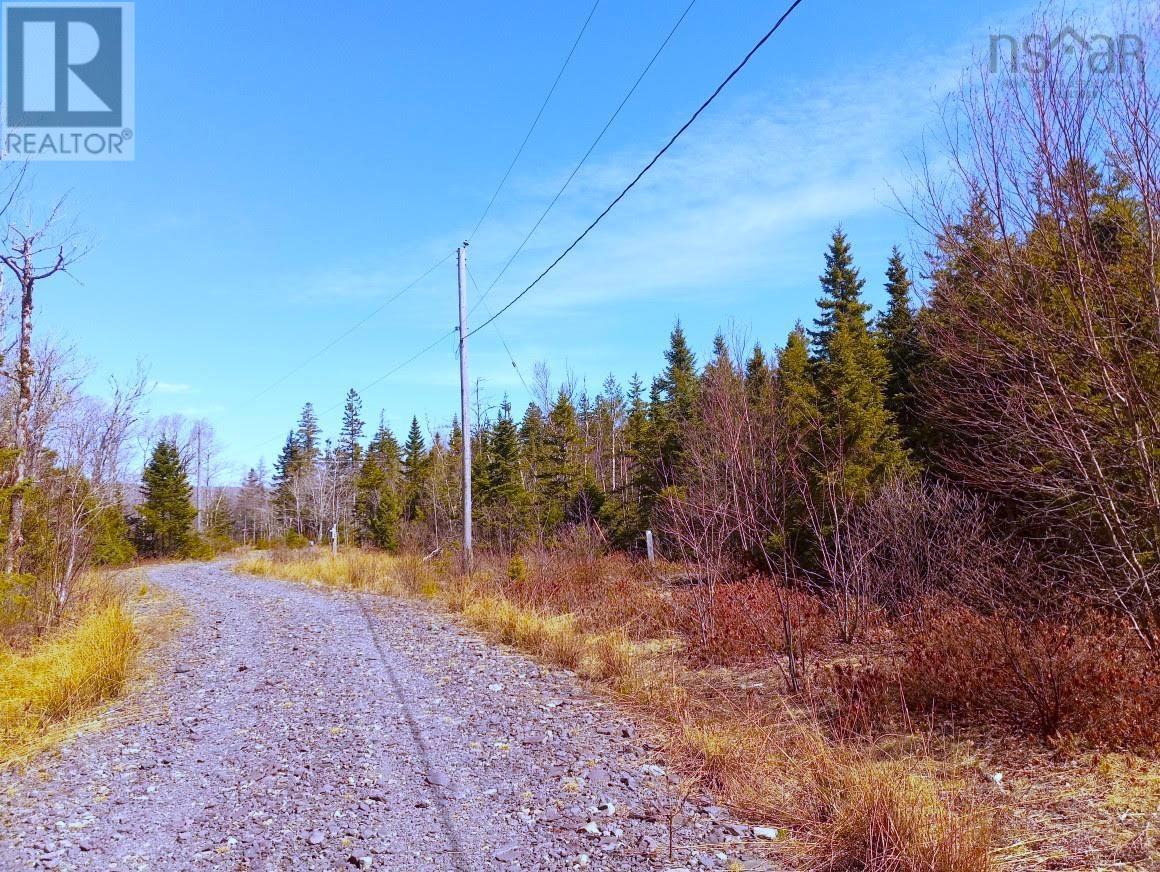 13 Johnny Cash Lane, Juniper Mountain, Nova Scotia  B1K 0C2 - Photo 13 - 202510142