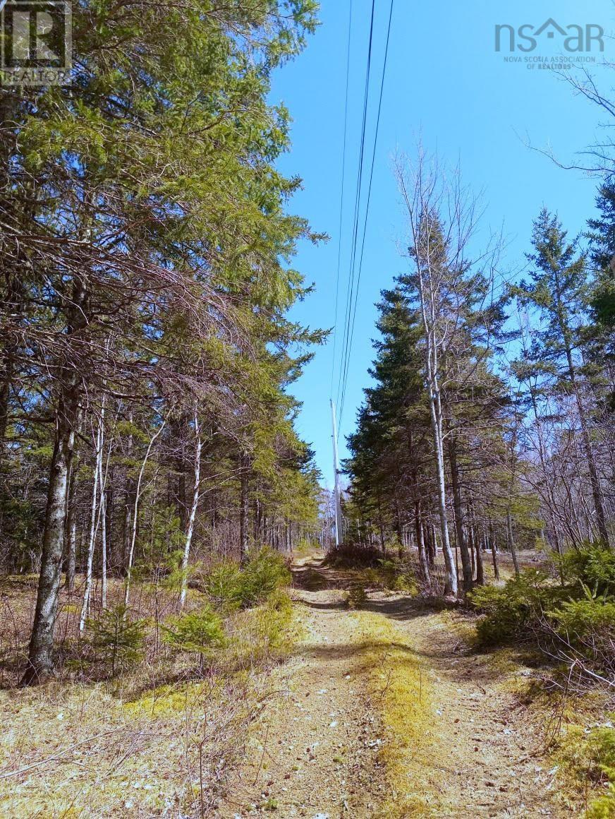 13 Johnny Cash Lane, Juniper Mountain, Nova Scotia  B1K 0C2 - Photo 29 - 202510142