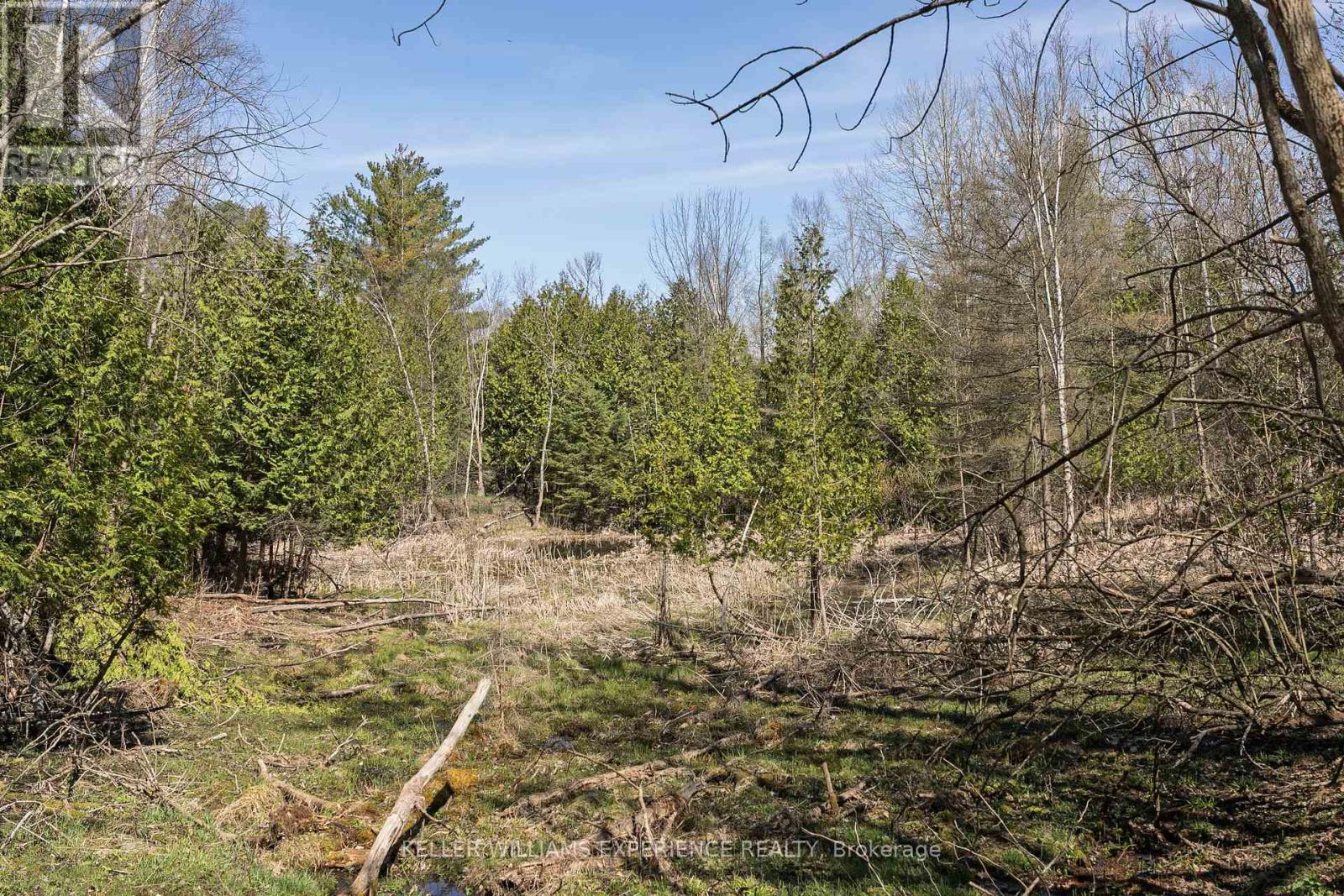 8294 County Rd 27, Essa, Ontario  L4N 9C4 - Photo 3 - N12124874