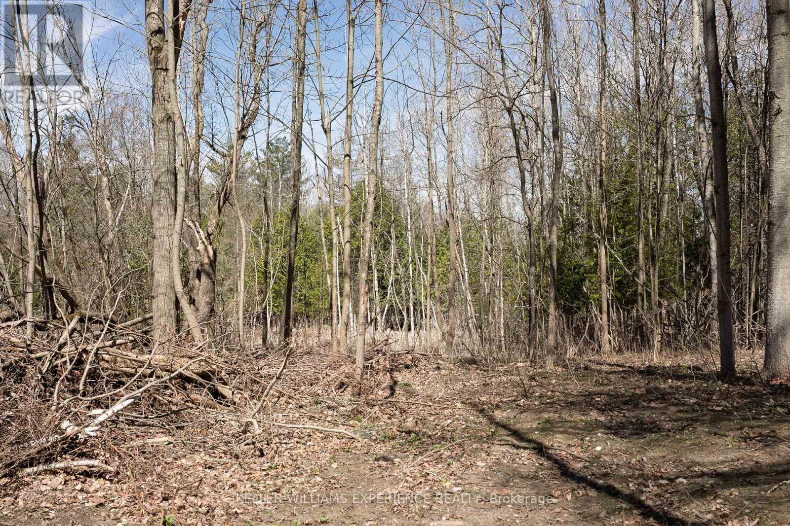 8294 County Rd 27, Essa, Ontario  L4N 9C4 - Photo 19 - N12124874