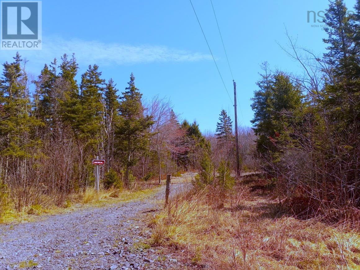 14 Johnny Cash Lane, Juniper Mountain, Nova Scotia  B1K 0C2 - Photo 2 - 202510145