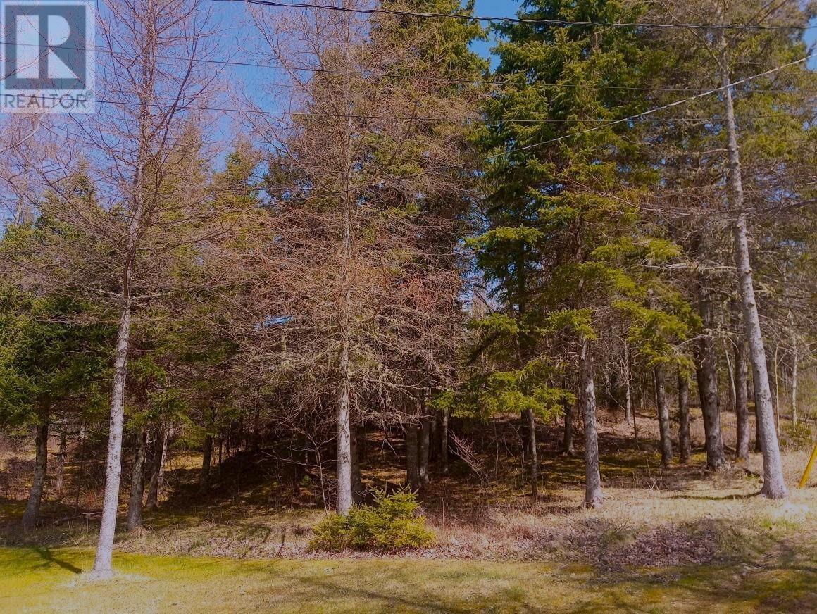 16 Tom Sawyer Lane, Juniper Mountain, Nova Scotia  B1K 0C2 - Photo 29 - 202510147