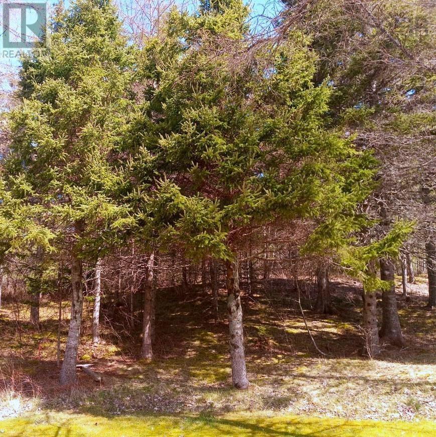 16 Tom Sawyer Lane, Juniper Mountain, Nova Scotia  B1K 0C2 - Photo 31 - 202510147