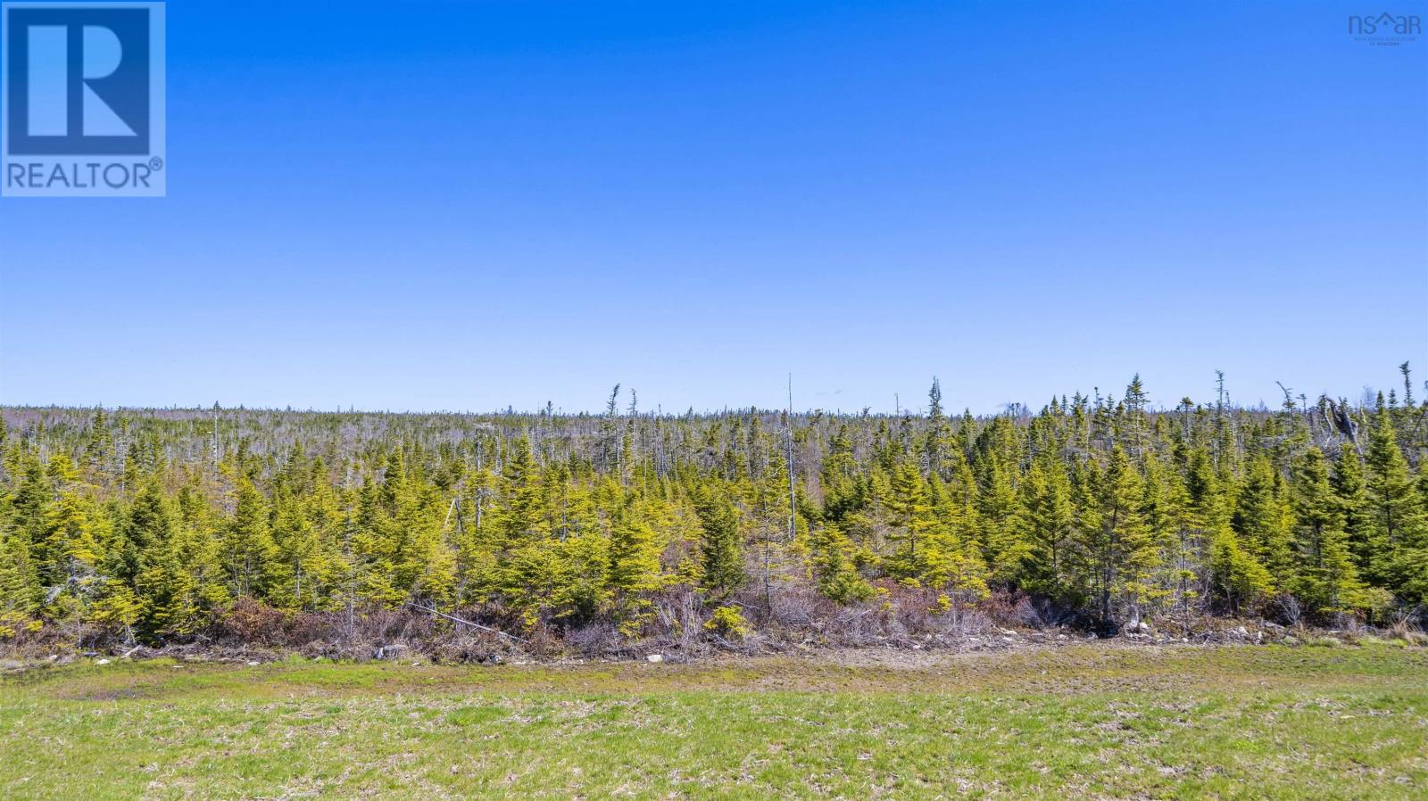 4606 Clam Harbour Road, Clam Bay, Nova Scotia  B0J 2L0 - Photo 47 - 202503194