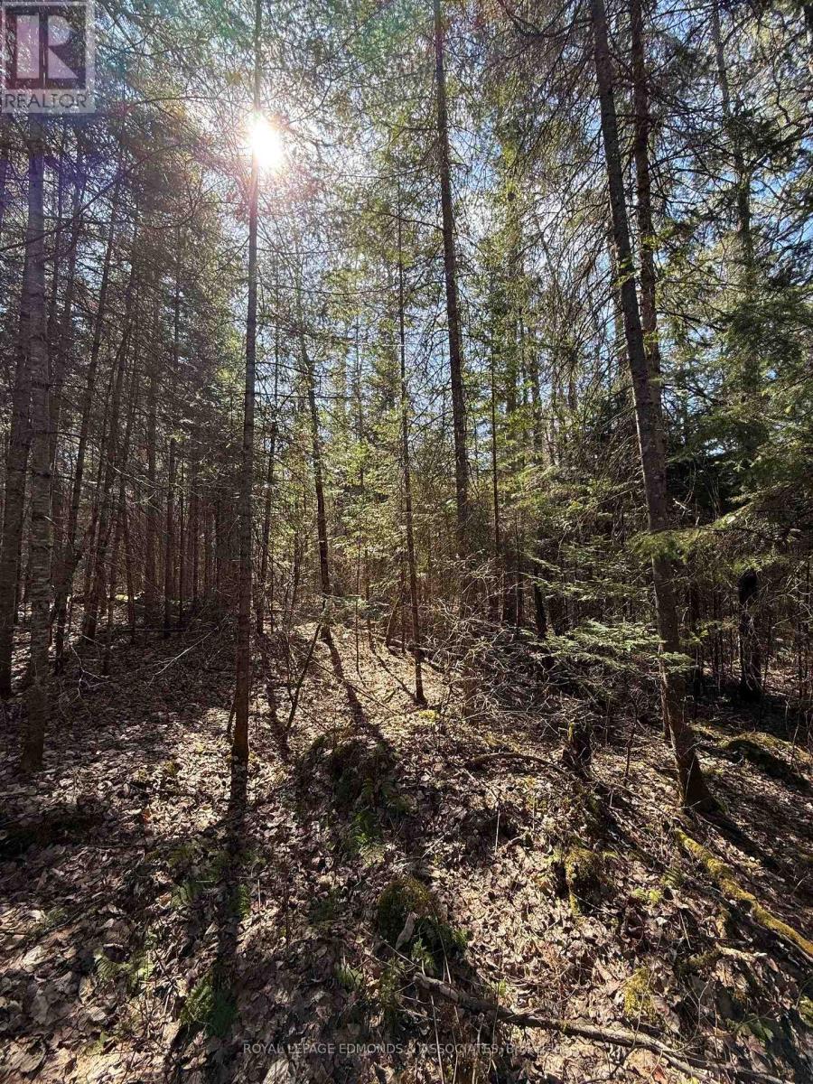 0 Deer Trail Road, Killaloe, Ontario  K0J 2A0 - Photo 21 - X12131096