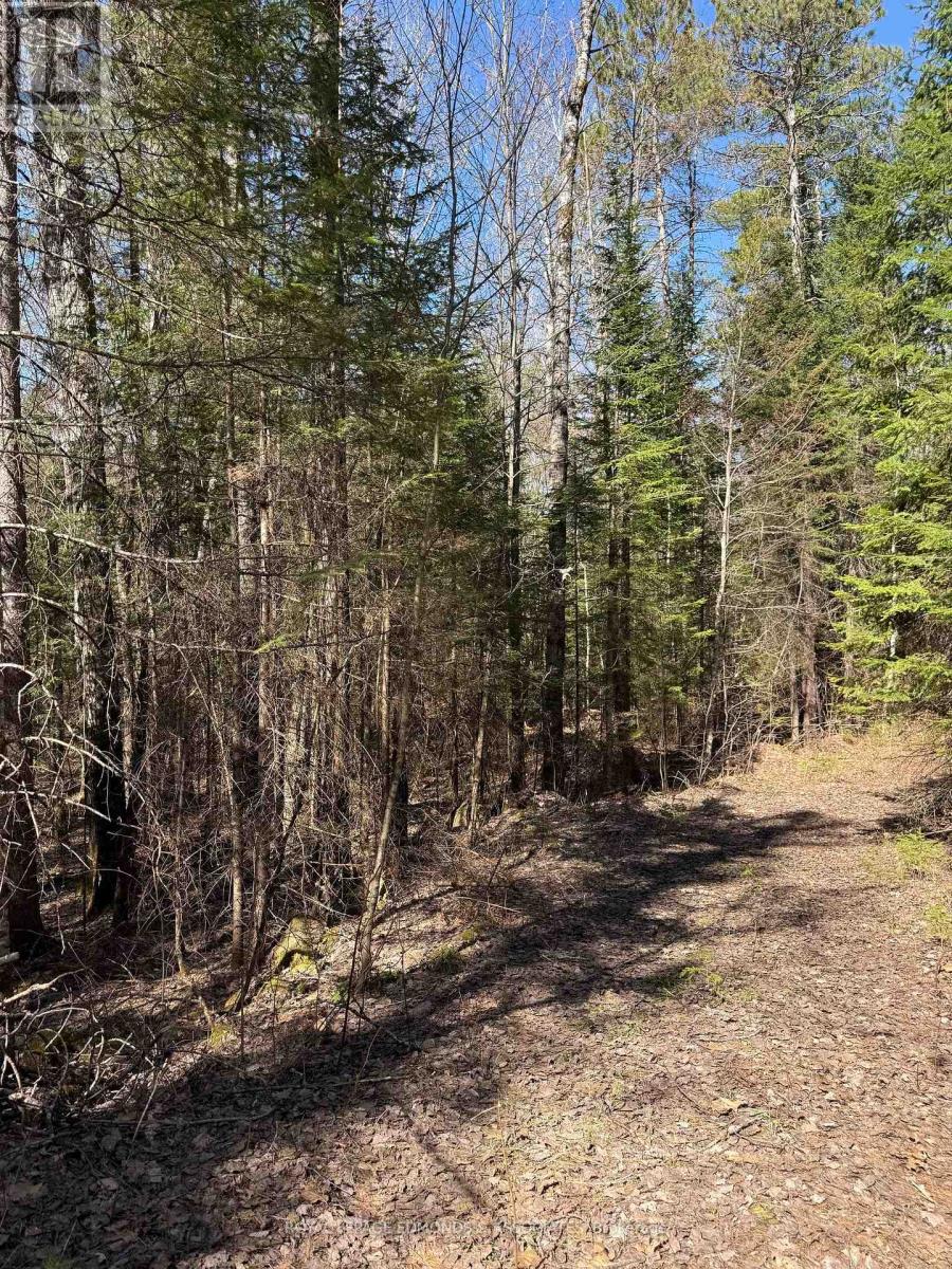 0 Deer Trail Road, Killaloe, Ontario  K0J 2A0 - Photo 15 - X12131096