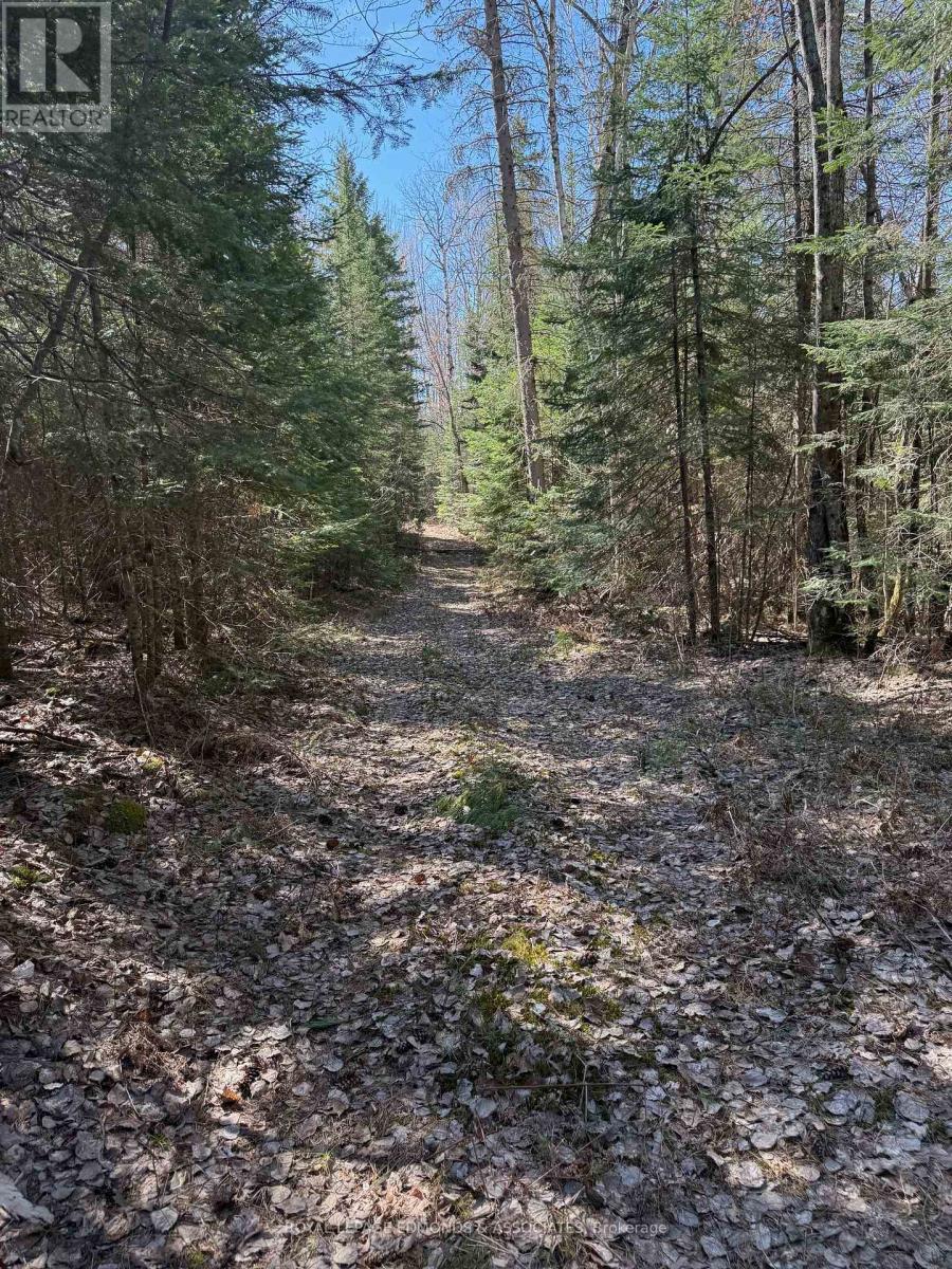 0 Deer Trail Road, Killaloe, Ontario  K0J 2A0 - Photo 17 - X12131096