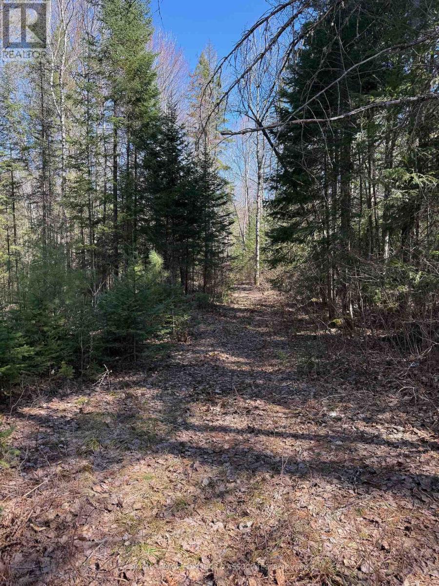 0 Deer Trail Road, Killaloe, Ontario  K0J 2A0 - Photo 22 - X12131096