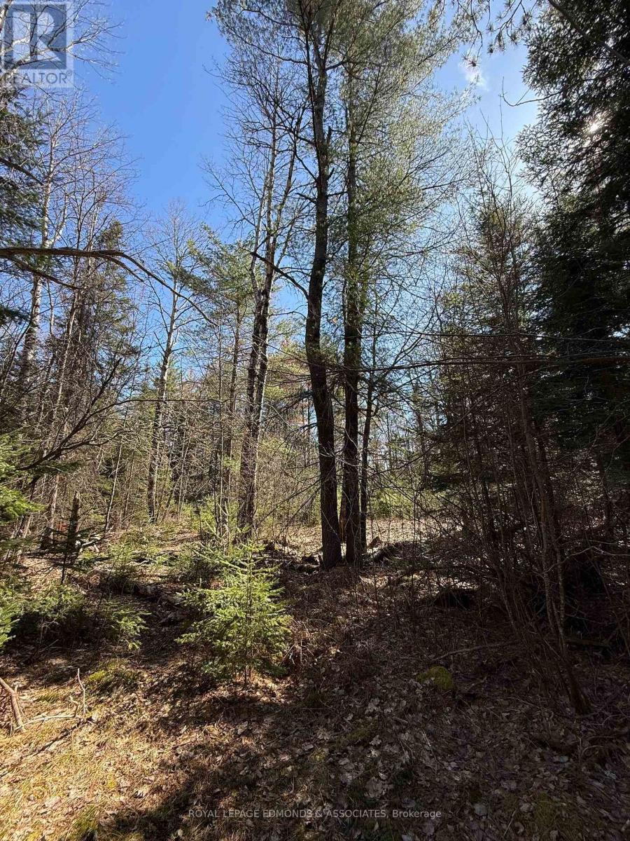 0 Deer Trail Road, Killaloe, Ontario  K0J 2A0 - Photo 19 - X12131096