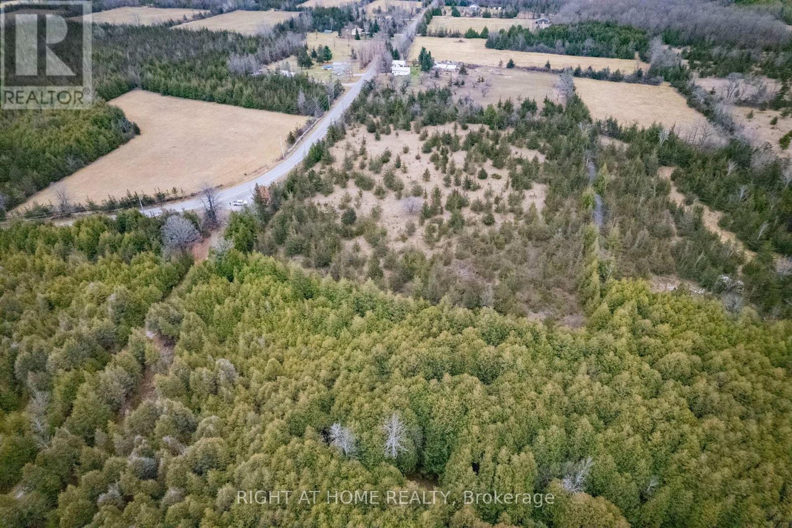 297 Power Road, Tyendinaga, Ontario  K0K 3A0 - Photo 4 - X12131424