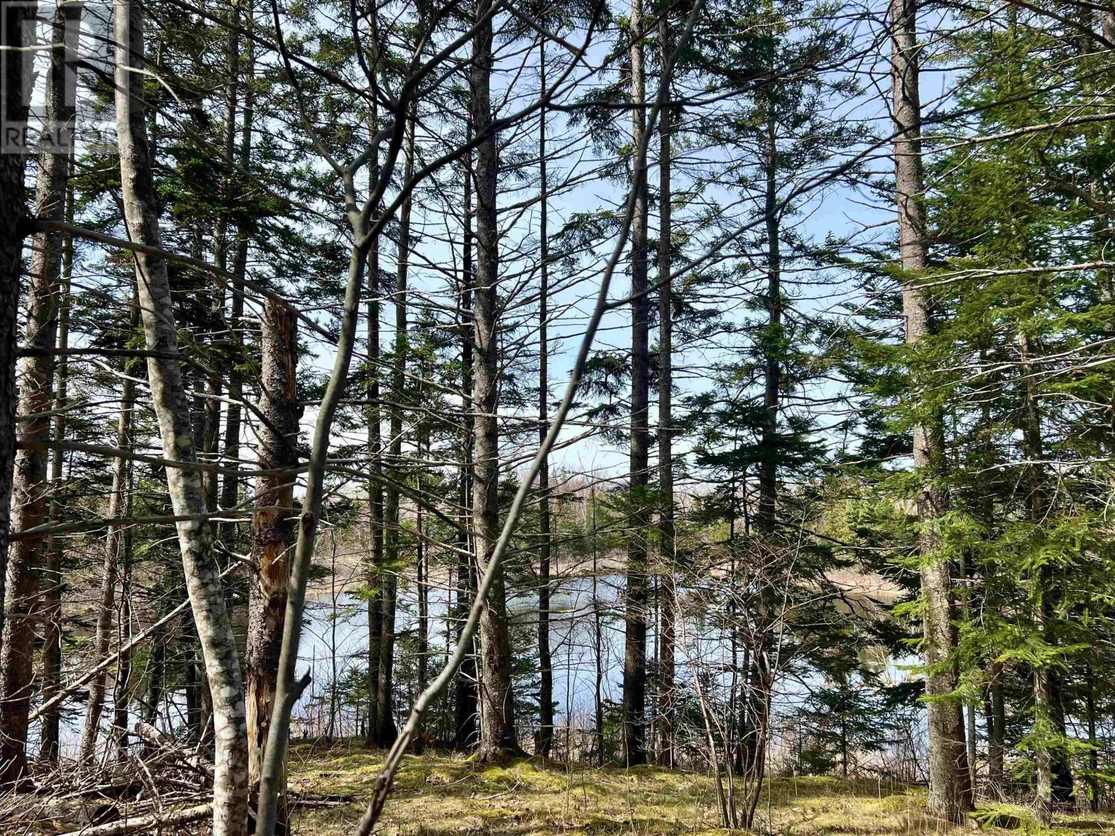 Old Mulgrave Road, Monastery, Nova Scotia  B0H 1W0 - Photo 2 - 202510167