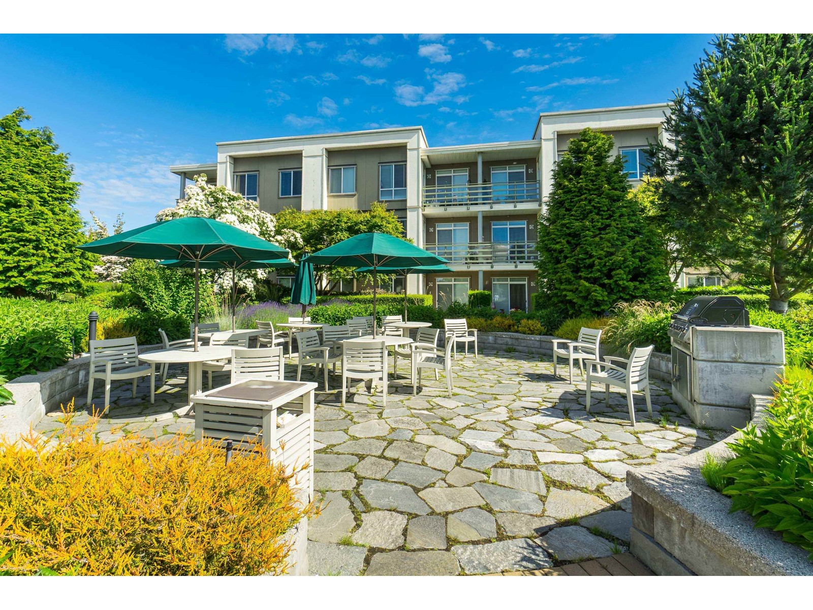 12 15850 26 Avenue, Surrey, British Columbia  V3S 2N6 - Photo 30 - R2999663