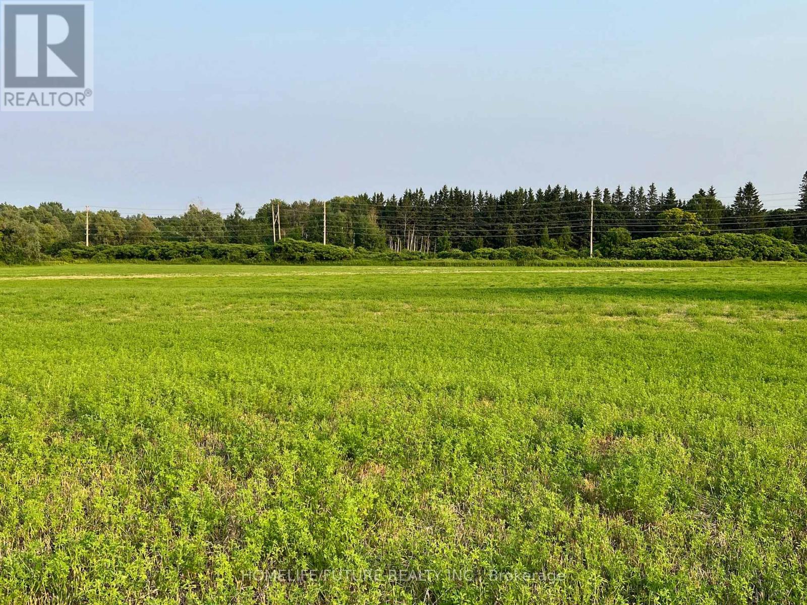 925 Townline Road N, Clarington, Ontario  L1H 8L7 - Photo 1 - E12131641