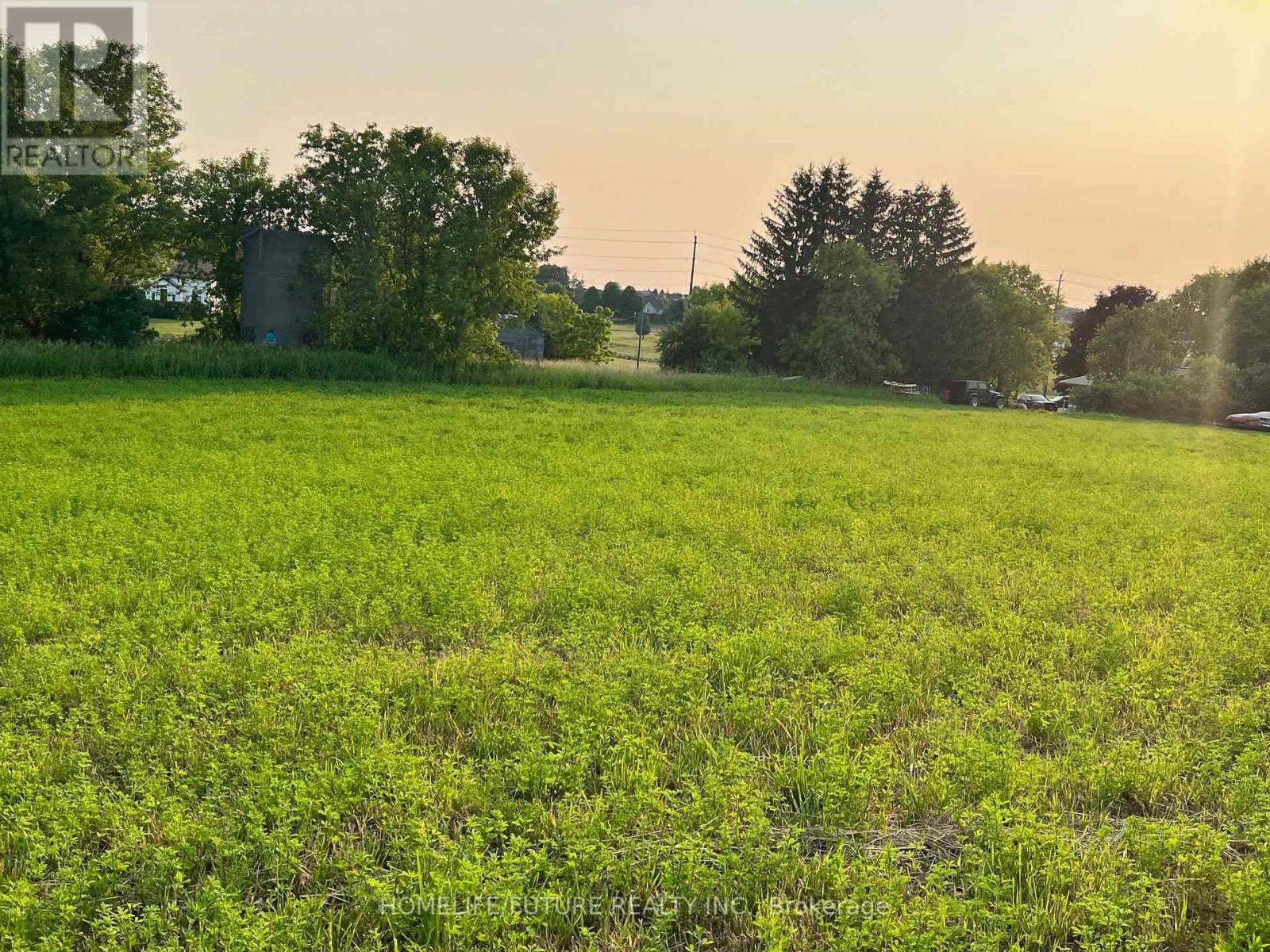 925 Townline Road N, Clarington, Ontario  L1H 8L7 - Photo 4 - E12131641