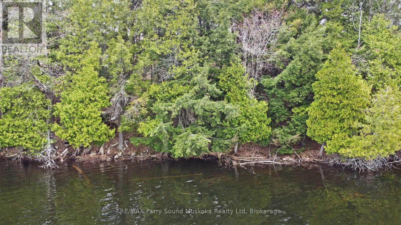 Lot 1 Shields Drive, Seguin, Ontario  P2A 2W8 - Photo 12 - X12131362
