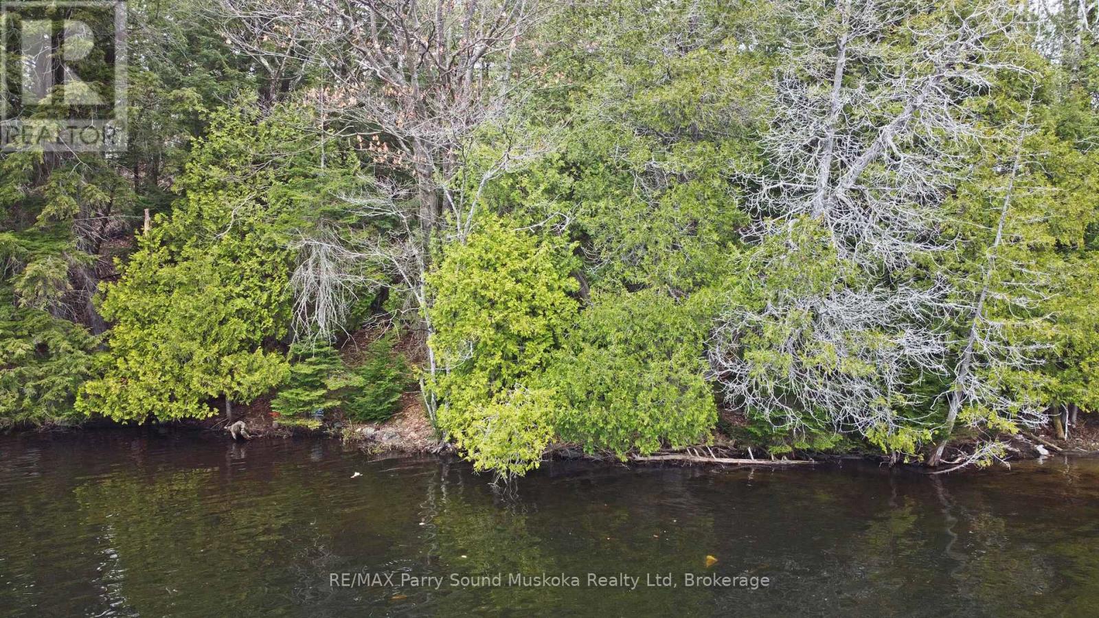 Lot 1 Shields Drive, Seguin, Ontario  P2A 2W8 - Photo 14 - X12131362