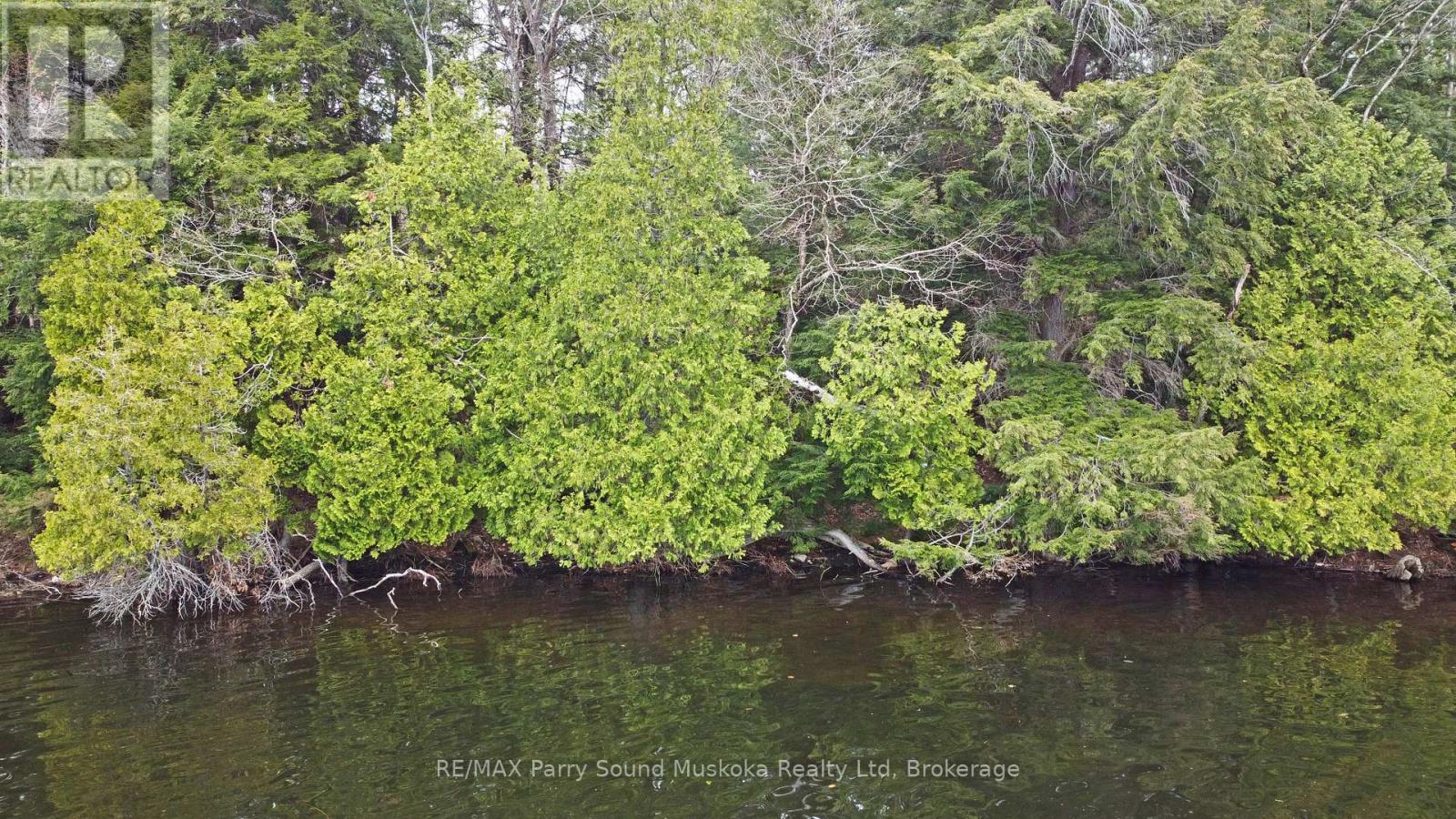 Lot 1 Shields Drive, Seguin, Ontario  P2A 2W8 - Photo 13 - X12131362