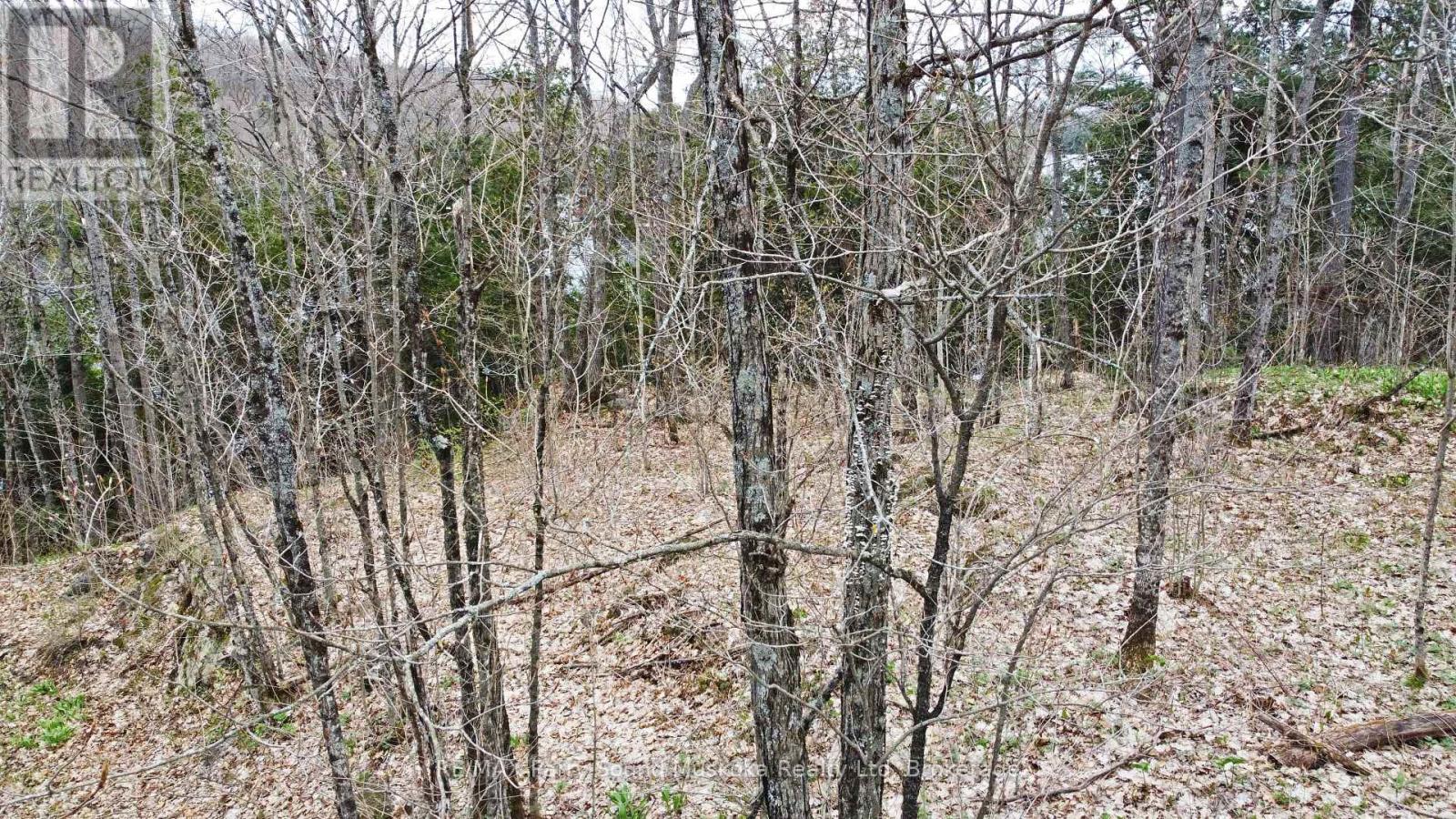 Lot 1 Shields Drive, Seguin, Ontario  P2A 2W8 - Photo 26 - X12131362