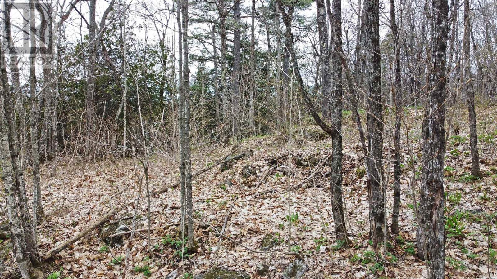 Lot 1 Shields Drive, Seguin, Ontario  P2A 2W8 - Photo 25 - X12131362