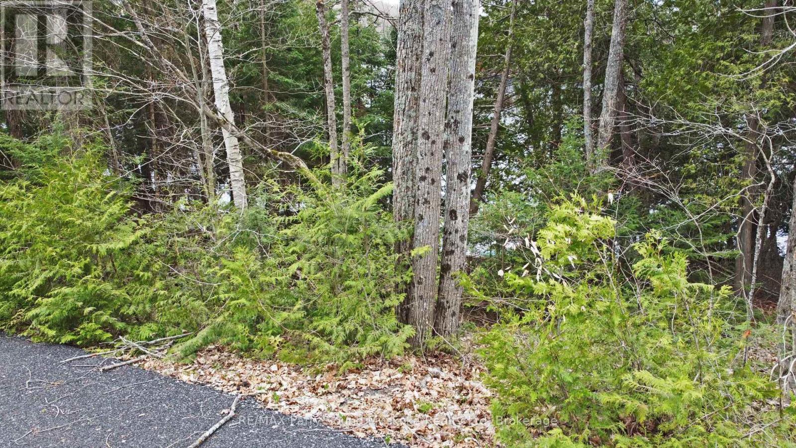 Lot 1 Shields Drive, Seguin, Ontario  P2A 2W8 - Photo 24 - X12131362