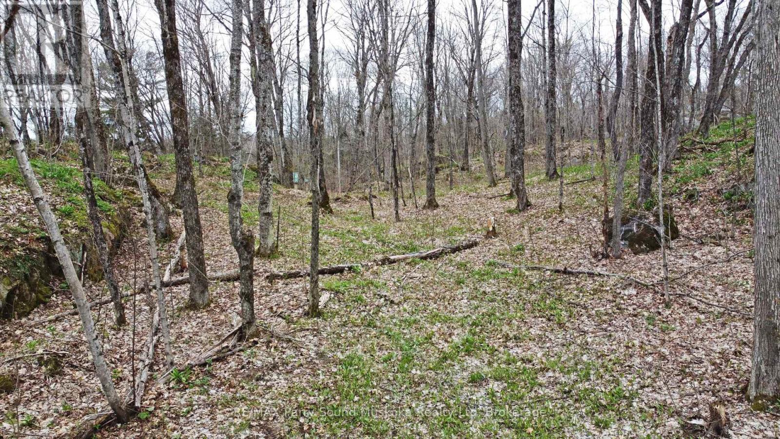 Lot 1 Shields Drive, Seguin, Ontario  P2A 2W8 - Photo 27 - X12131362