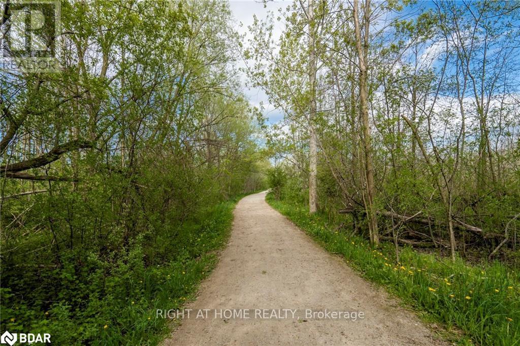 572 Spruce Street, Collingwood, Ontario  L9Y 4R2 - Photo 43 - S12131651