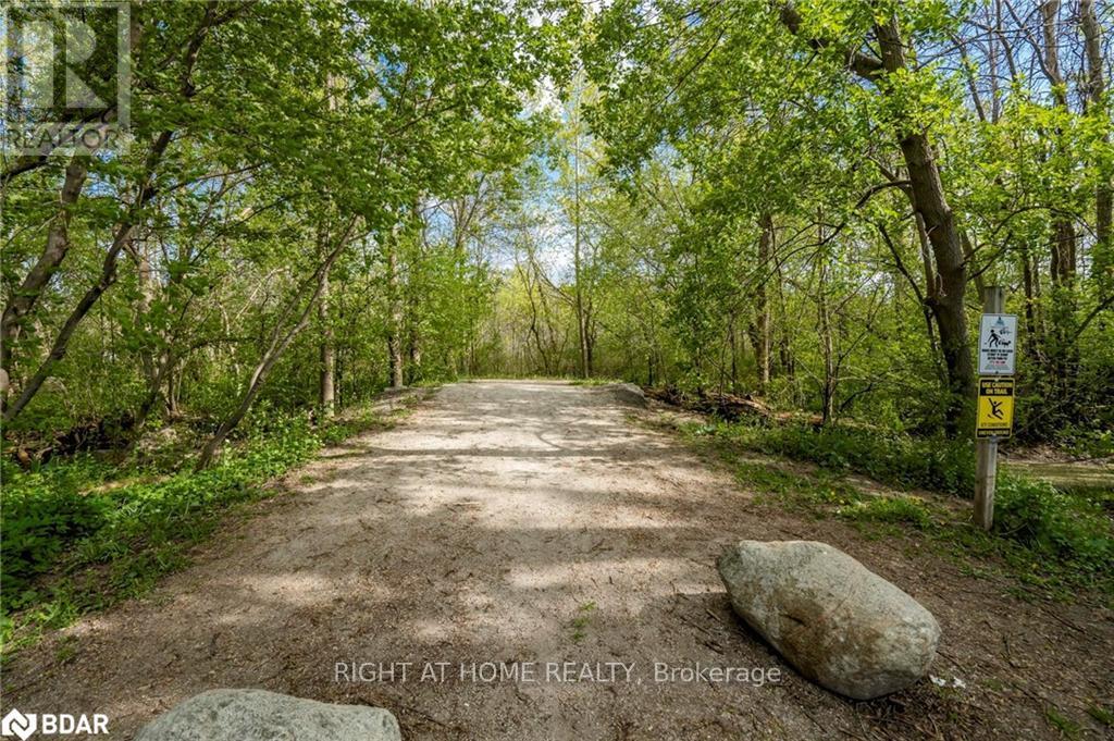 572 Spruce Street, Collingwood, Ontario  L9Y 4R2 - Photo 44 - S12131651