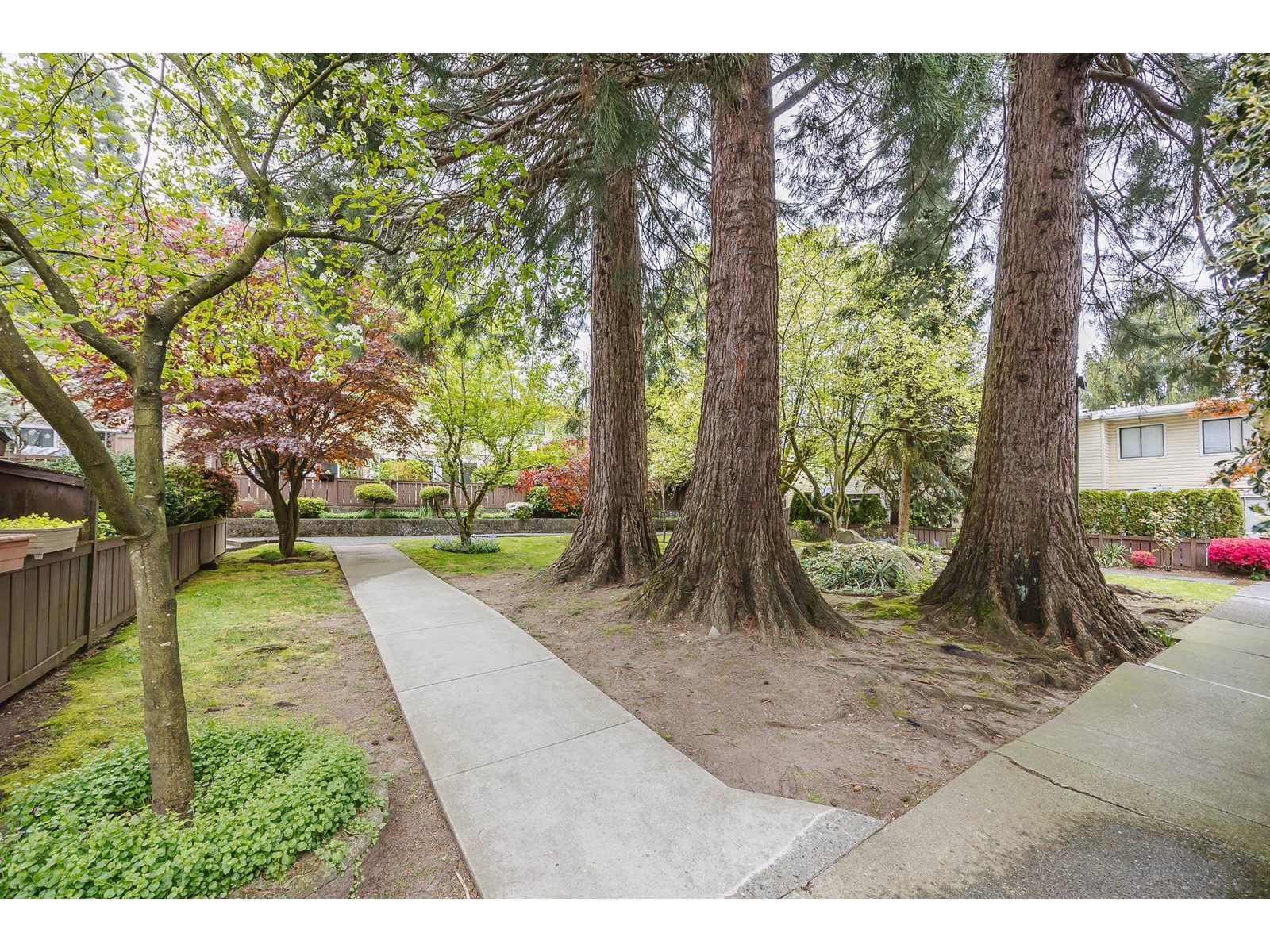 65 9370 122 Street, Surrey, British Columbia  V3V 4L6 - Photo 37 - R2994580