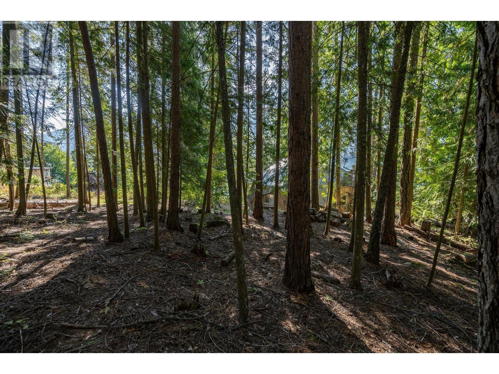 6602 3a Highway, Nelson, British Columbia  V1L 6S1 - Photo 32 - 10345322