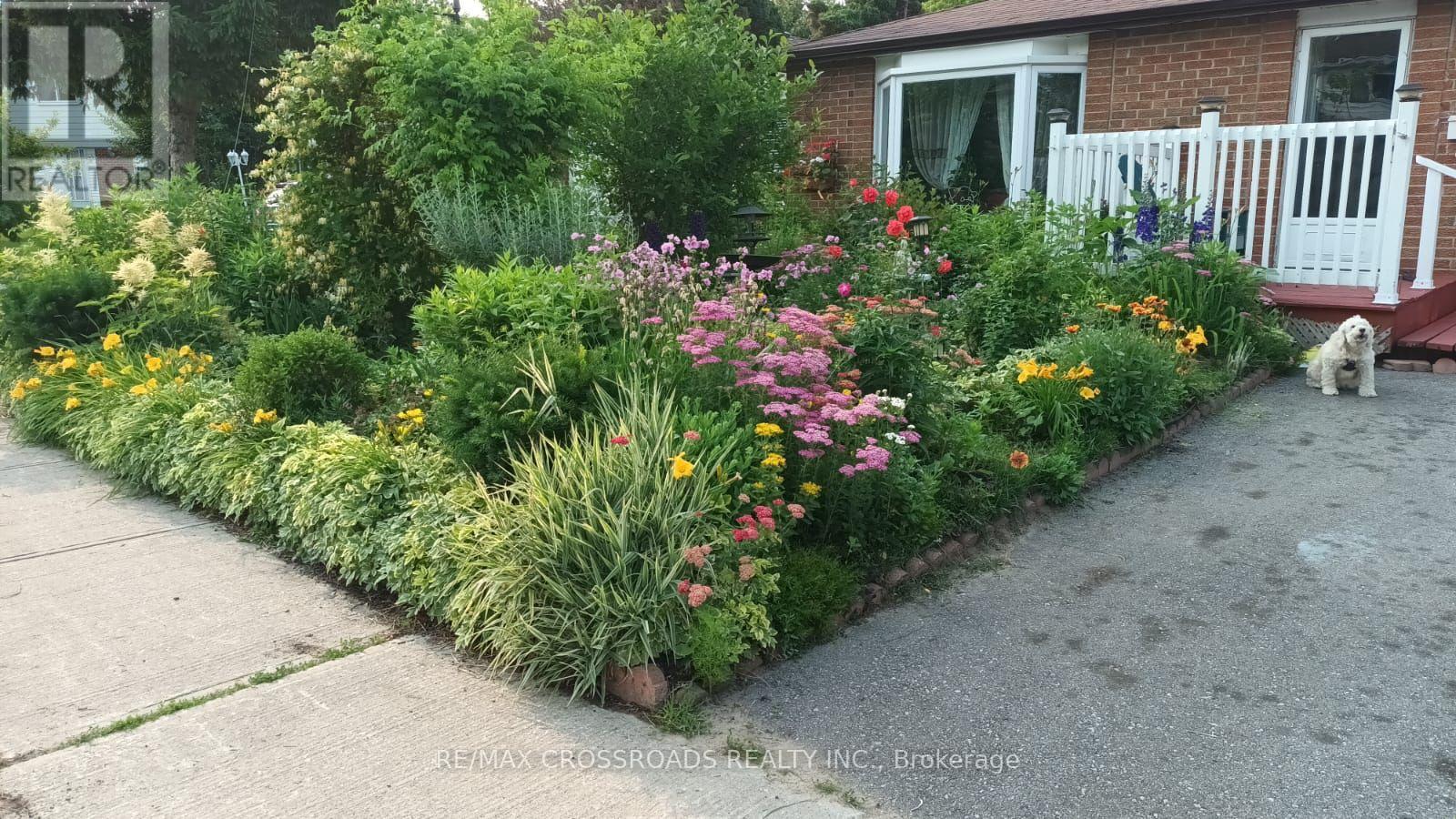 41 GEMSHAW CRESCENT, Toronto, Ontario
