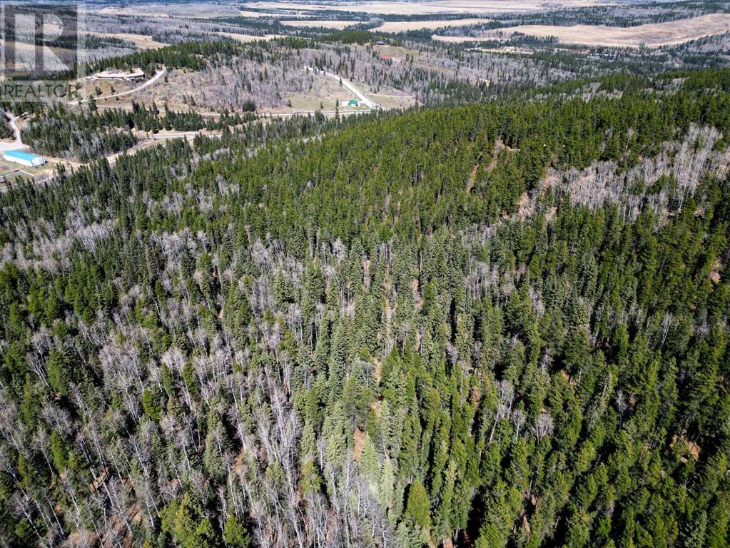 Mountain Lion Drive, Rural Rocky View County, Alberta  T0L 0K0 - Photo 13 - A2215687