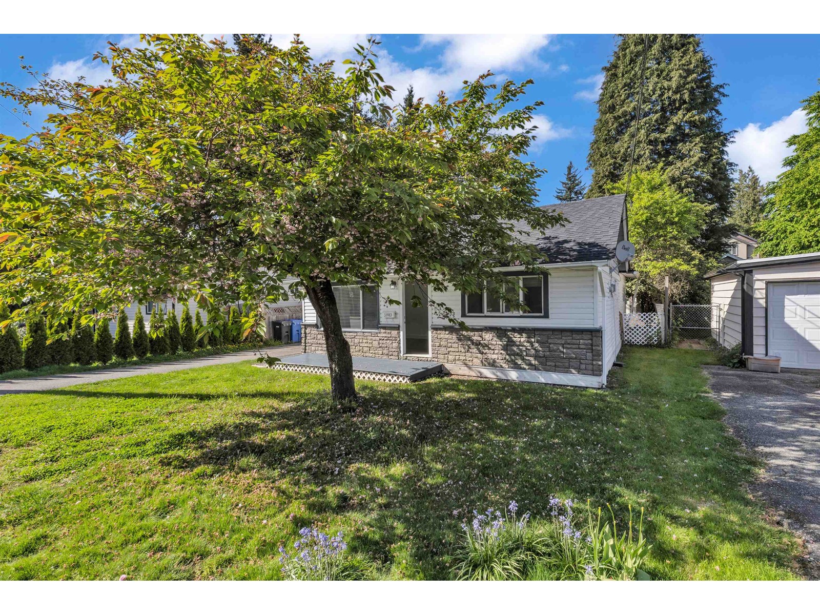 Property at 33983 ESSENDENE AVENUE image 3