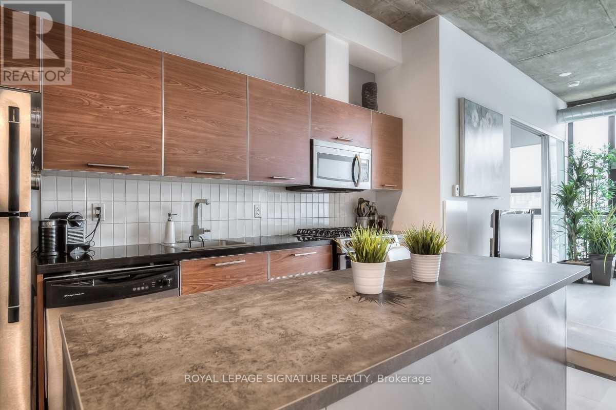 909 - 60 Bathurst Street, Toronto, Ontario  M5V 2P4 - Photo 6 - C12132087
