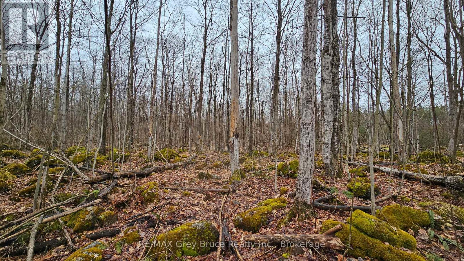 Pt Lt 15 Concession Rd 21 Road, Georgian Bluffs, Ontario  N0H 2T0 - Photo 18 - X12132437