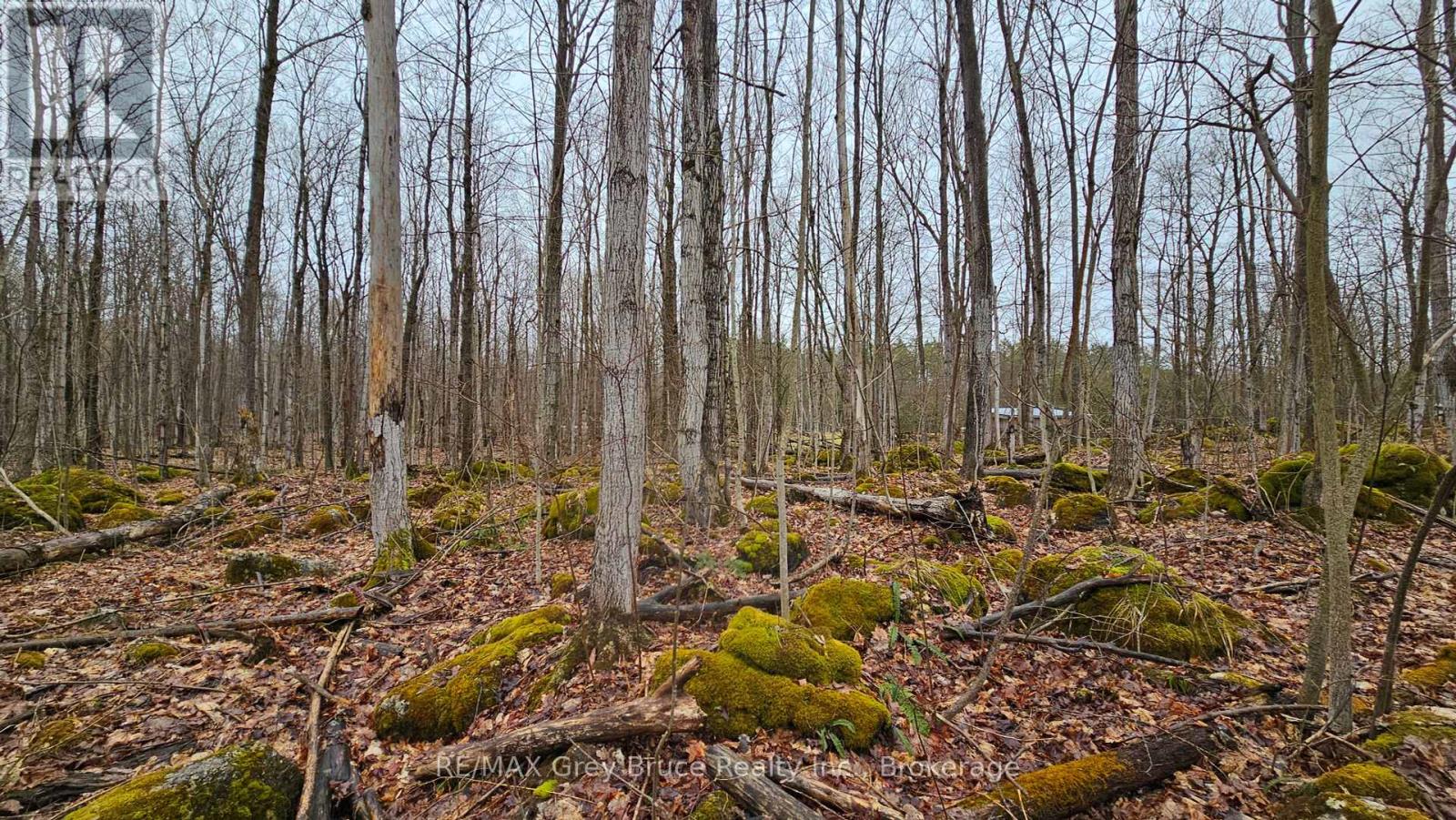 Pt Lt 15 Concession Rd 21 Road, Georgian Bluffs, Ontario  N0H 2T0 - Photo 19 - X12132437