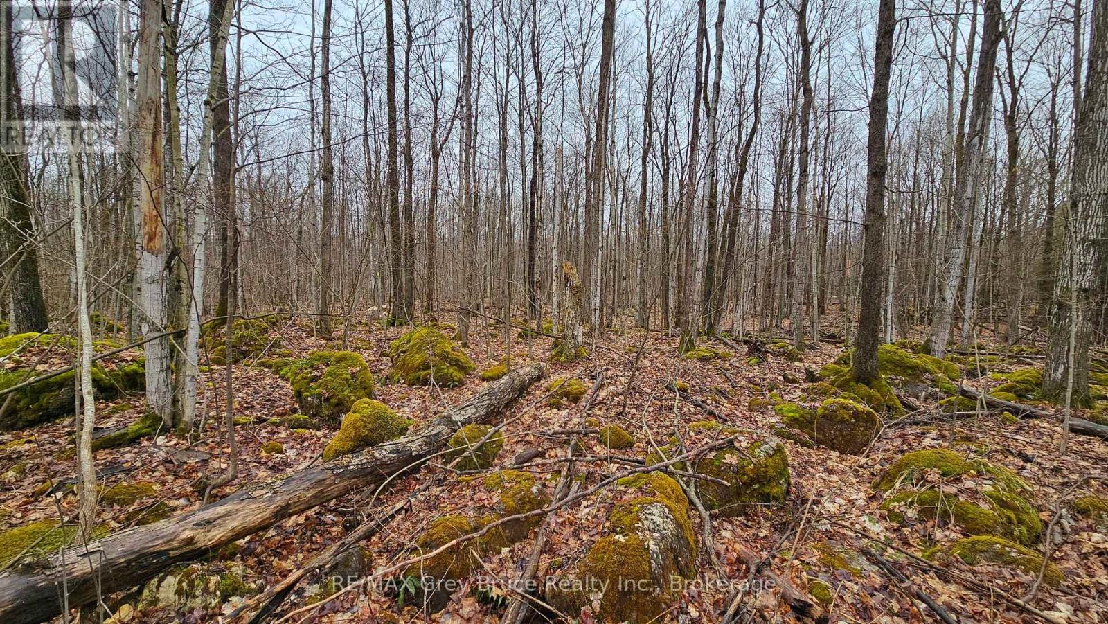 Pt Lt 15 Concession Rd 21 Road, Georgian Bluffs, Ontario  N0H 2T0 - Photo 20 - X12132437