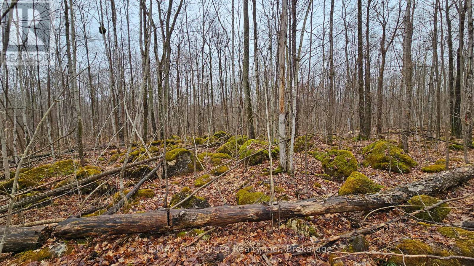 Pt Lt 15 Concession Rd 21 Road, Georgian Bluffs, Ontario N0H 2T0 - Photo 21 - X12132437
